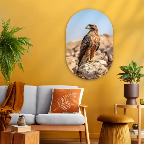 Valk - Vogel - Rots - Macht Wandcirkel Ovaal Glas middel -sfeer4