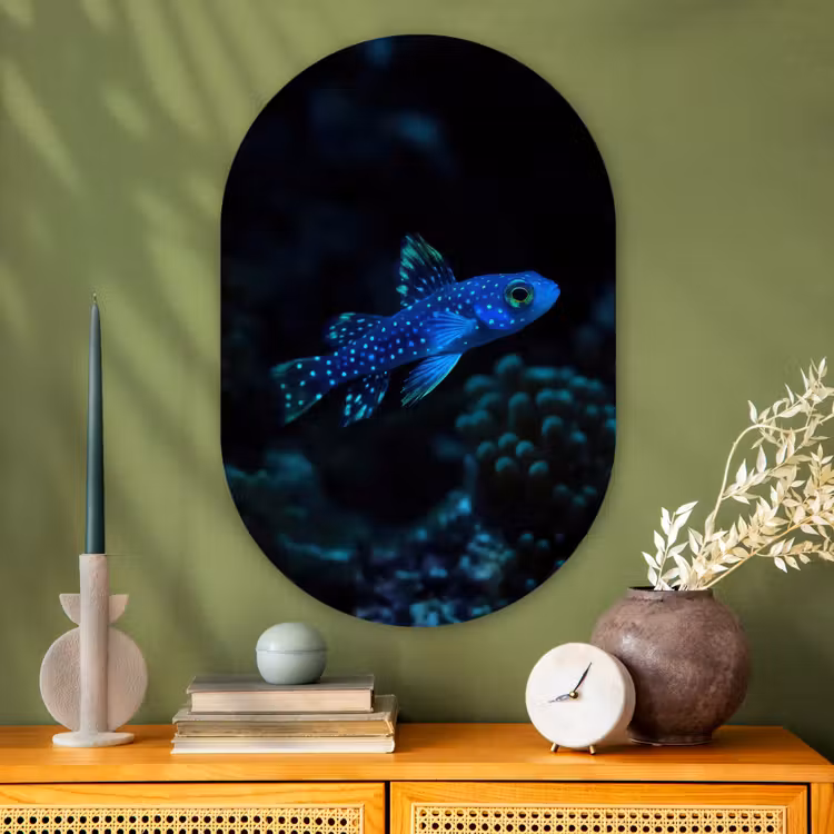 Vis - Stippen - Koraal - Blauw Wandcirkel Ovaal Glas middel -sfeer2