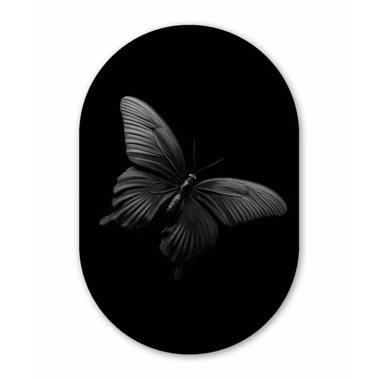 Vlinder - Zwart - Insect - Dieren Wandcirkel Ovaal Glas middel -3d