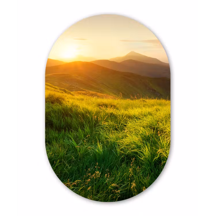 Gras - Heuvels - Zon - Natuur Wandcirkel Ovaal Forex klein -3d