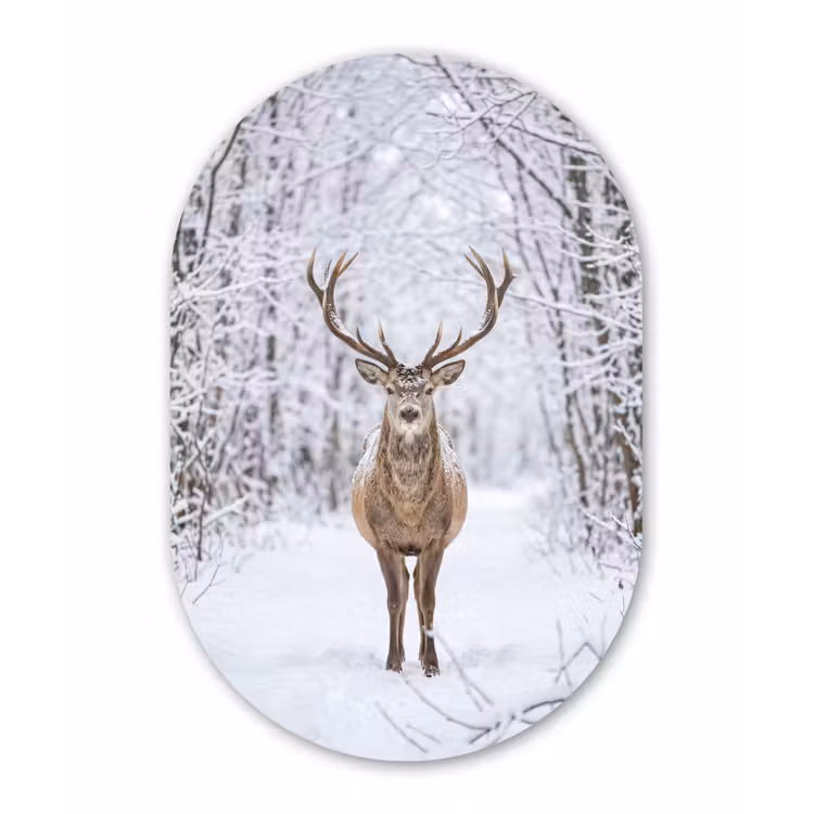 Hert - Winter - Bos - Natuur - Wit Wandcirkel Ovaal Forex klein -3d