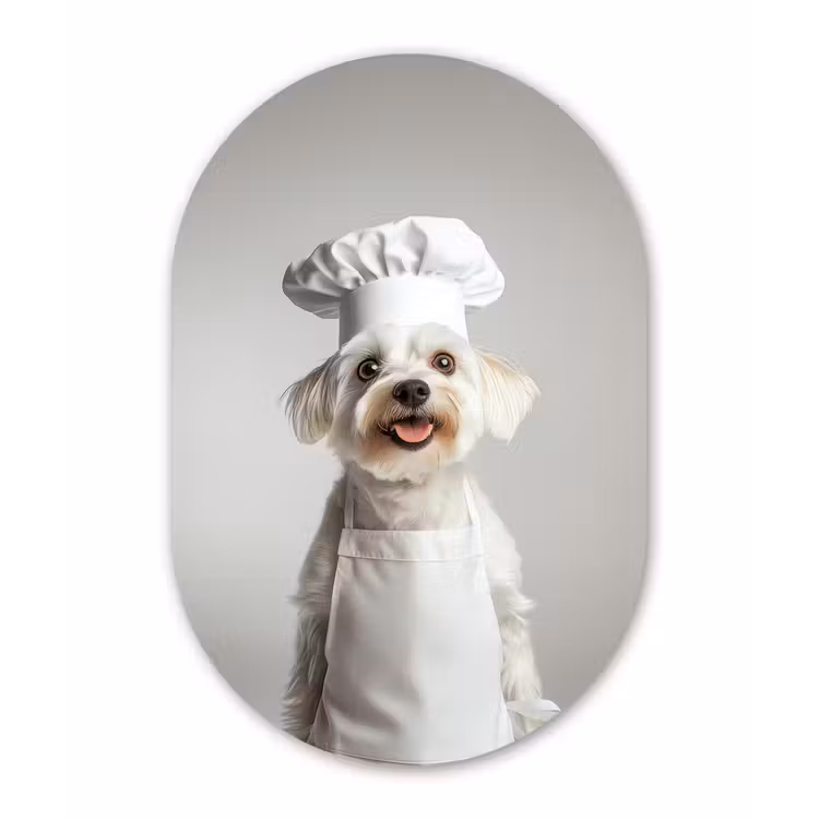 Hond - Wit - Kok Wandcirkel Ovaal Forex klein -3d
