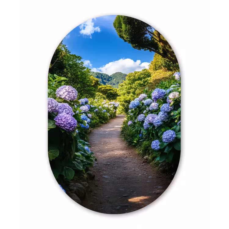 Hortsensia - Pad - Bloemen Wandcirkel Ovaal Forex klein -3d