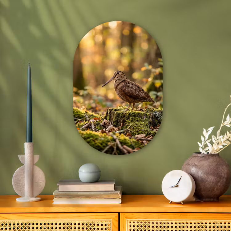 Houtsnip - Bos - Bladeren - Herfst - Gecamoufleerd Wandcirkel Ovaal Forex klein -sfeer2