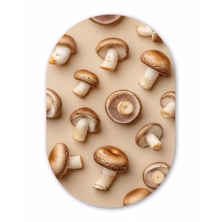 Kastanje Champignons - Beige Wandcirkel Ovaal Forex klein -3d