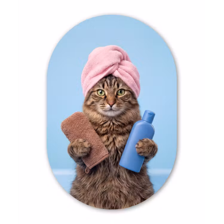 Kat - Handdoek - Washand - Zeep Wandcirkel Ovaal Forex klein -3d
