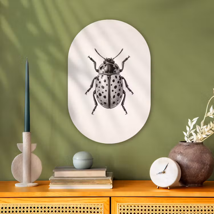 Kever - Insect - Vintage Wandcirkel Ovaal Forex klein -sfeer2