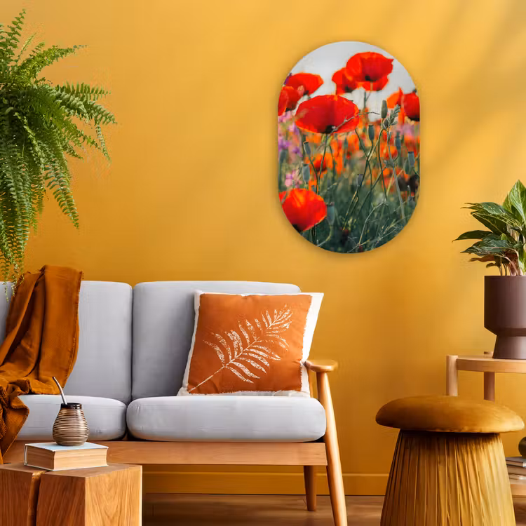 Klaproos - Bloemen - Wilde bloemen Wandcirkel Ovaal Forex klein -sfeer4