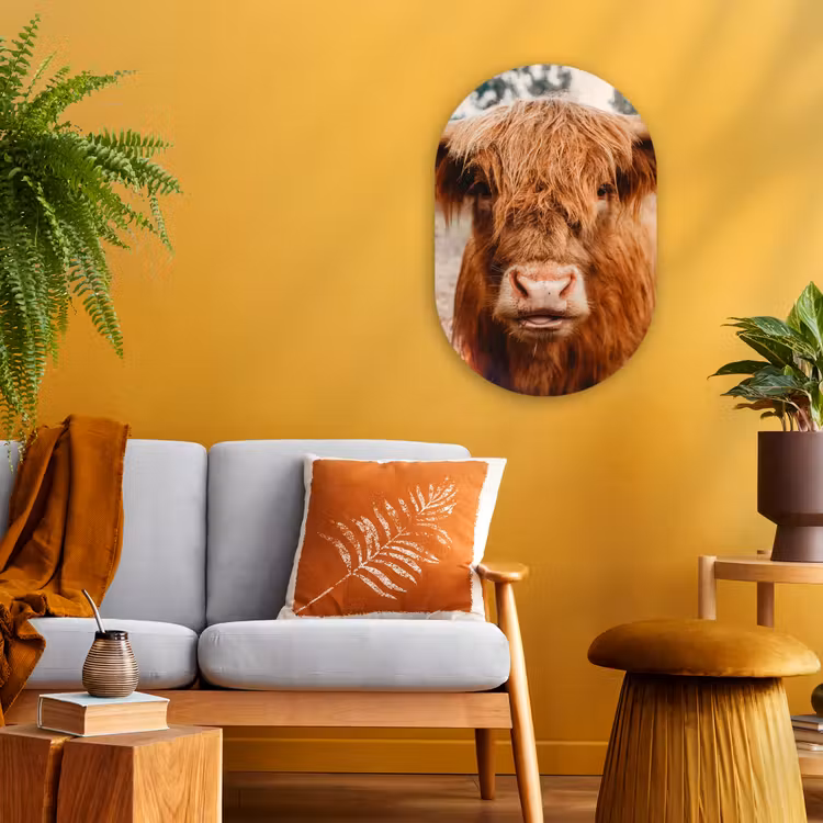 Koe- Schotse hooglander - Hoorns - Bruin - Landschap Wandcirkel Ovaal Forex klein -sfeer4