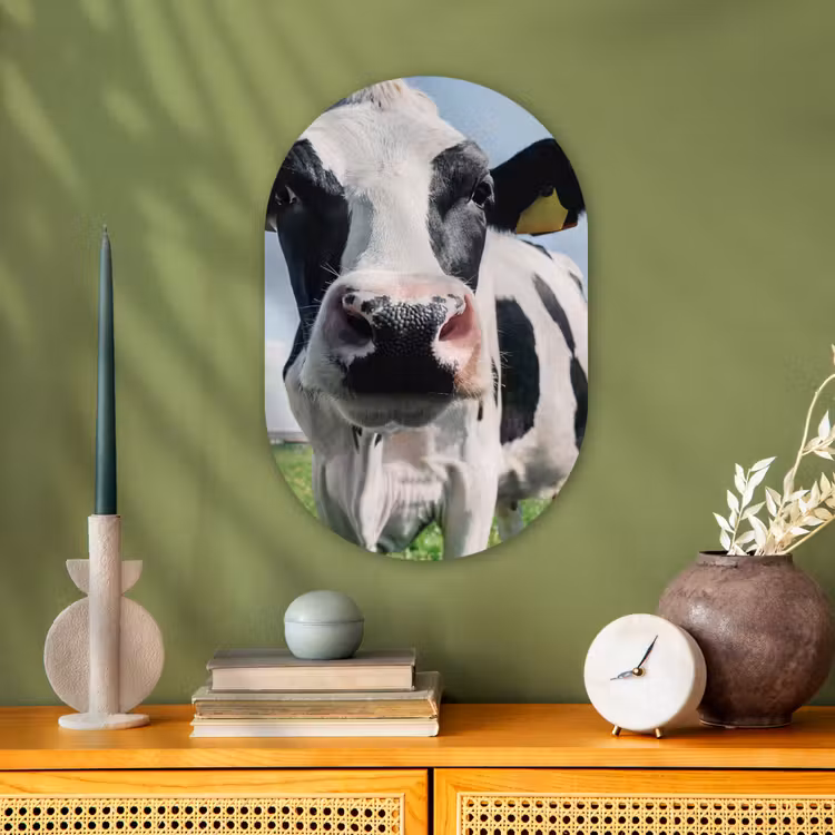 Koe - Weiland - Natuur - Dieren - Gras Wandcirkel Ovaal Forex klein -sfeer2