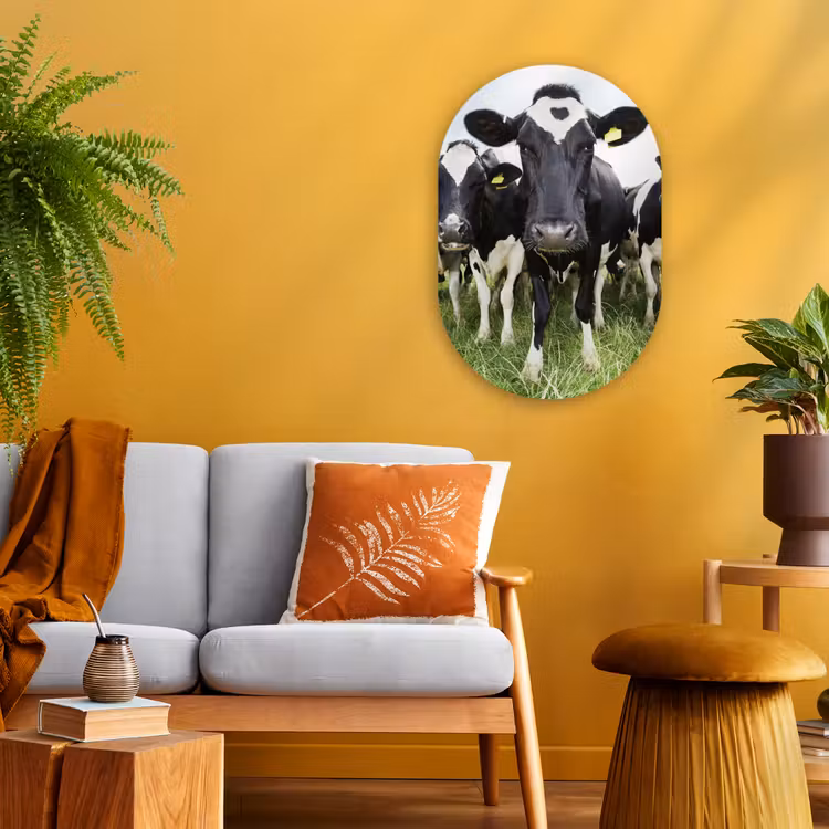 Koeien - Gras - Lente - Dieren - Weiland - Boerderij Wandcirkel Ovaal Forex klein -sfeer4