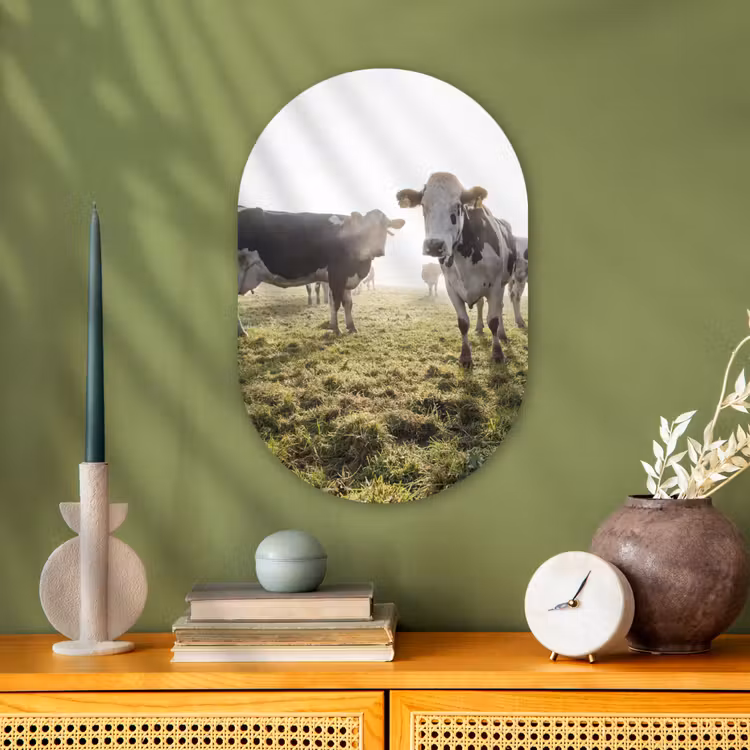Koeien - Licht - Gras - Dieren Wandcirkel Ovaal Forex klein -sfeer2