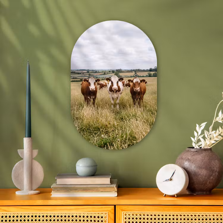 Koeien - Portret - Weide - Boerderij - Nieuwsgierig Wandcirkel Ovaal Forex klein -sfeer2