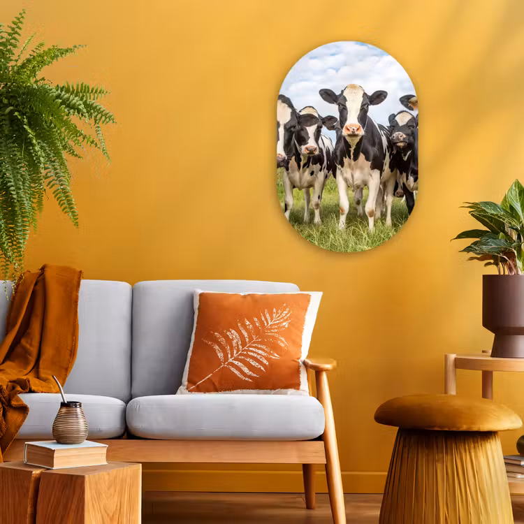 Koeien - Weiland - Dieren - Natuur - Gras Wandcirkel Ovaal Forex klein -sfeer4
