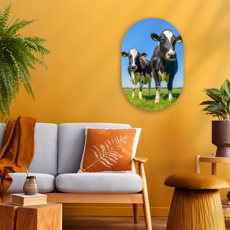Koeien - Weiland - Gras - Dieren - Boerderij Wandcirkel Ovaal Forex klein -sfeer4