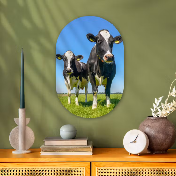 Koeien - Weiland - Gras - Dieren - Boerderij Wandcirkel Ovaal Forex klein -sfeer2