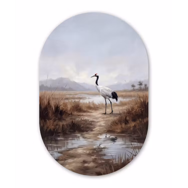 Kraanvogel - Natuur - Realistisch Wandcirkel Ovaal Forex klein -3d