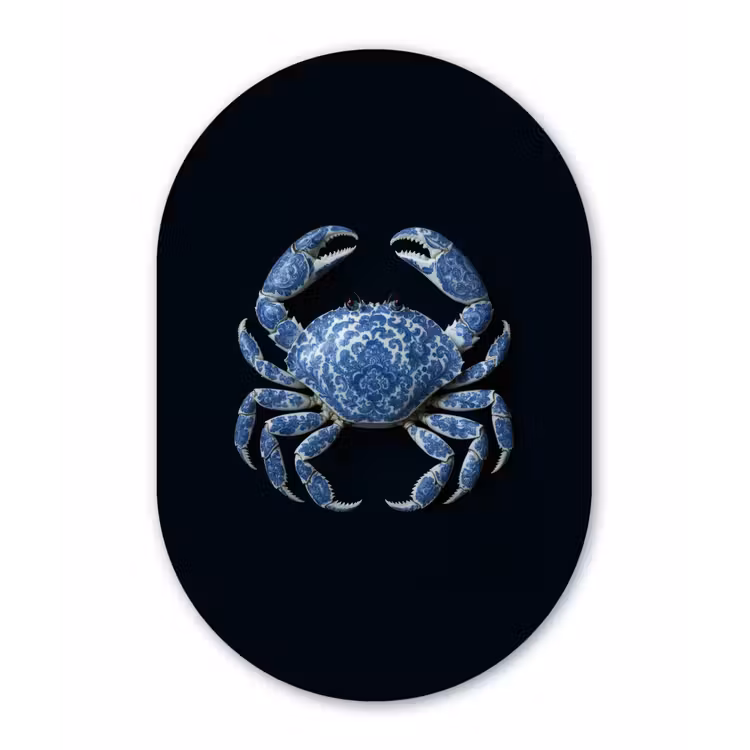 Krab - Delfts blauw - Dieren Wandcirkel Ovaal Forex klein -3d