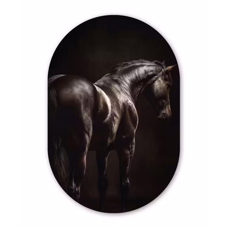 Krachtig - Paard - Donker Wandcirkel Ovaal Forex klein -3d