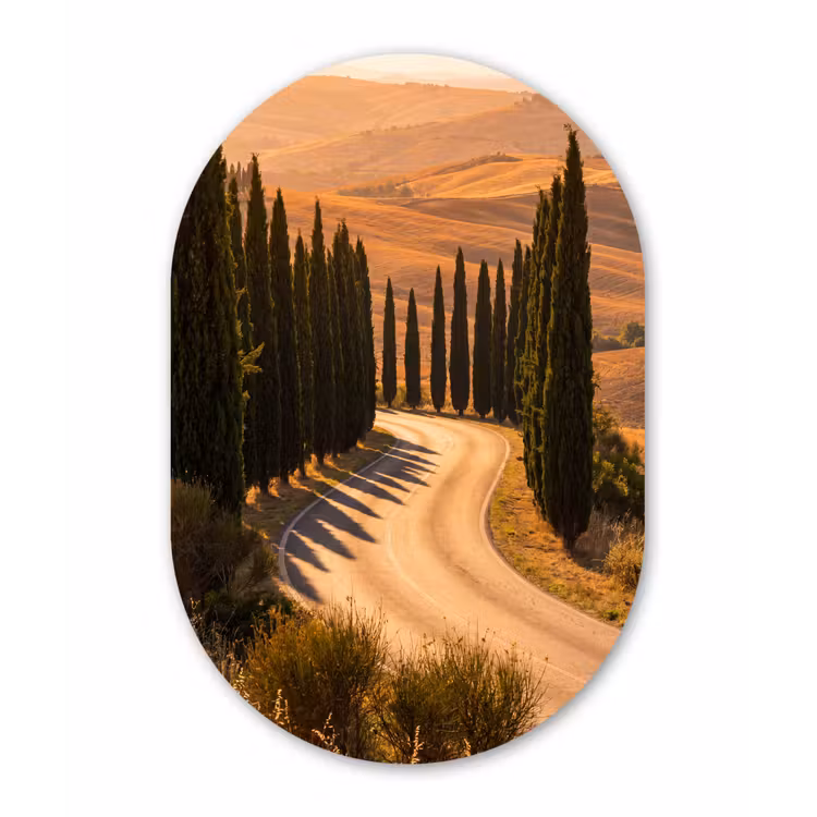 Landschap - Weg - Bomen - Natuur - Goud Wandcirkel Ovaal Forex klein -3d
