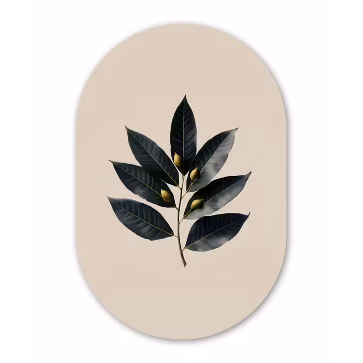 Laurierbladeren - Bloemknoppen - subtiel Wandcirkel Ovaal Forex klein -3d