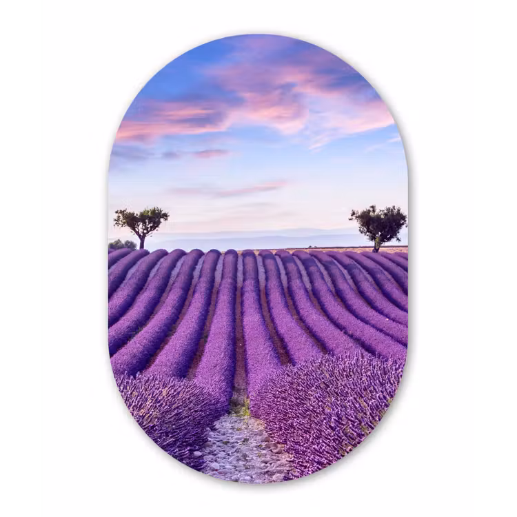 Lavendel - Natuur - Paars - Bomen Wandcirkel Ovaal Forex klein -3d