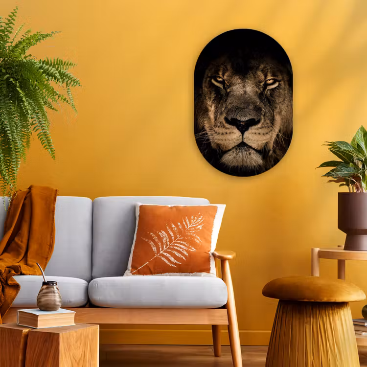 Leeuw - Dieren - Zwart - Portret Wandcirkel Ovaal Forex klein -sfeer4