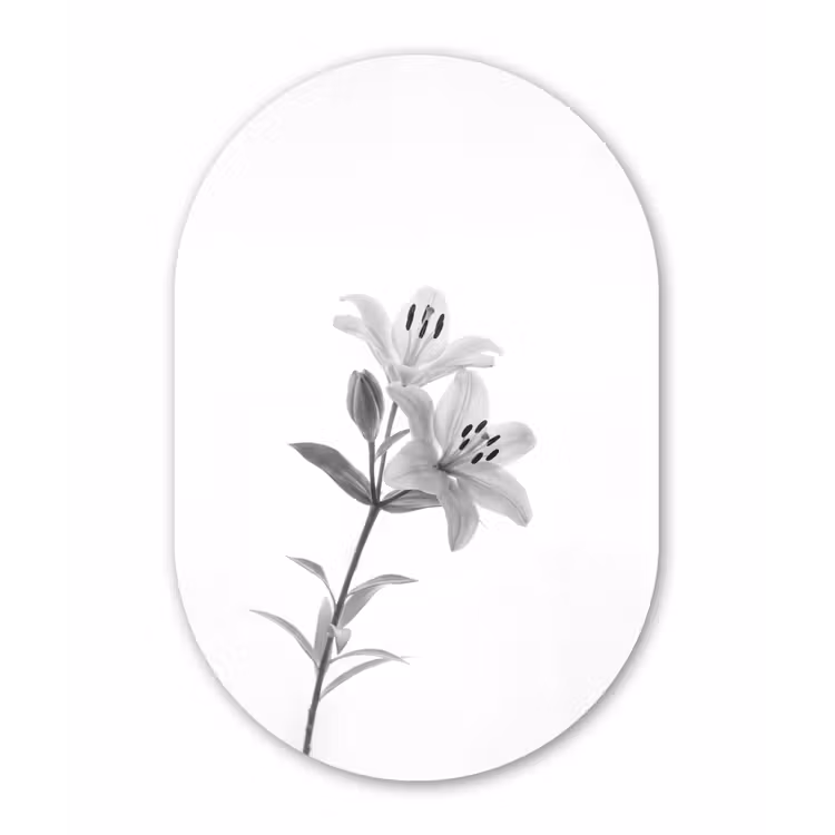 Lelies - Elegant - Zwart - Wit Wandcirkel Ovaal Forex klein -3d