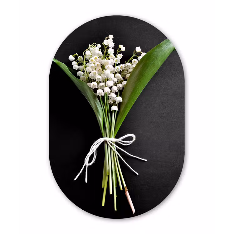 Lelietjes van dalen - Bloemen - Stilleven - Flora Wandcirkel Ovaal Forex klein -3d