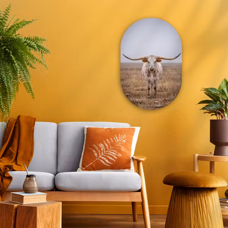 Longhorn - Grasveld - Dier Wandcirkel Ovaal Forex klein -sfeer4