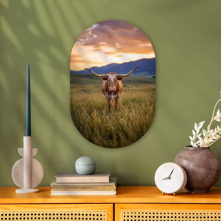 Longhorn - Landschap - Zonsondergang Wandcirkel Ovaal Forex klein -sfeer2