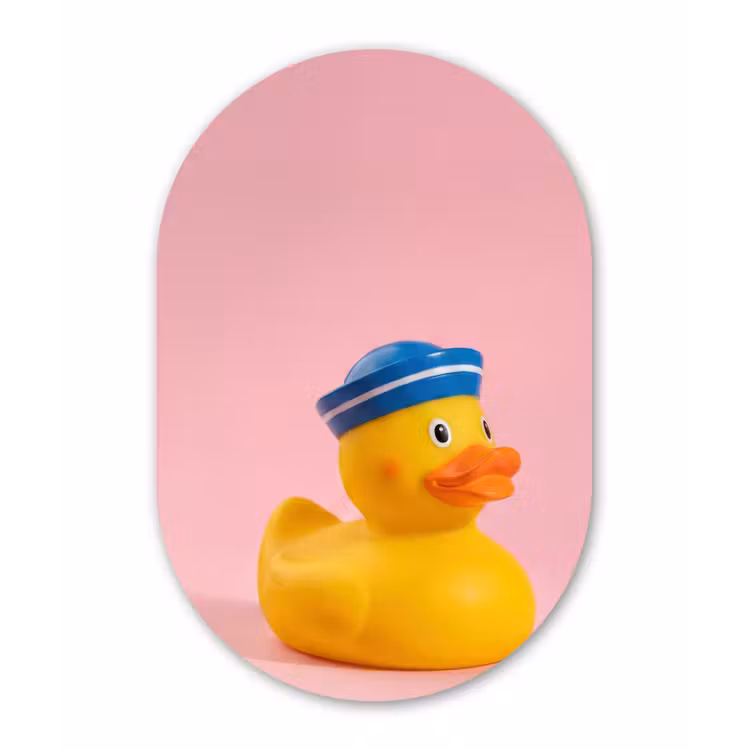 Matroos - Eend - Roze Wandcirkel Ovaal Forex klein -3d
