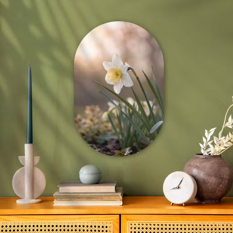 Narcis - Bloem - Minimalistisch Wandcirkel Ovaal Forex klein -sfeer2