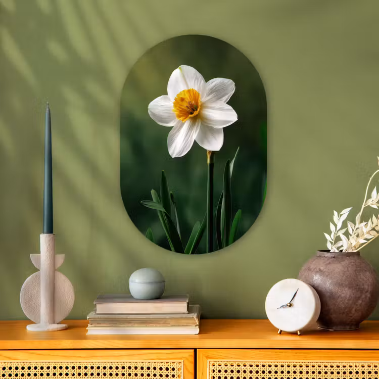 Narcis - Bloem - Wit - Grassprieten Wandcirkel Ovaal Forex klein -sfeer2