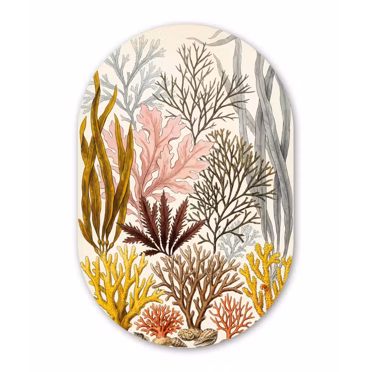 Natuur - Onderwater - Botanisch - Vintage - Kleurrijk Wandcirkel Ovaal Forex klein -3d