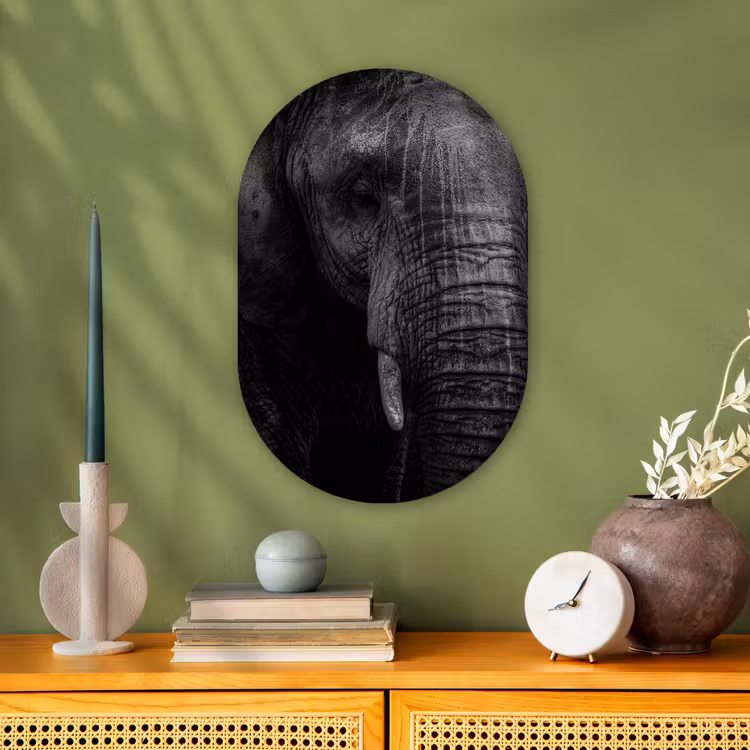 Olifant - Dier - Portret Wandcirkel Ovaal Forex klein -sfeer2