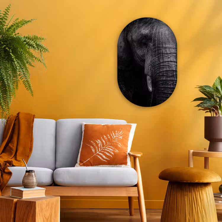 Olifant - Dier - Portret Wandcirkel Ovaal Forex klein -sfeer4