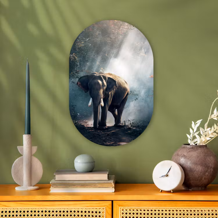 Olifant - Dieren - Licht - Bos - Natuur - Wilde dieren Wandcirkel Ovaal Forex klein -sfeer2