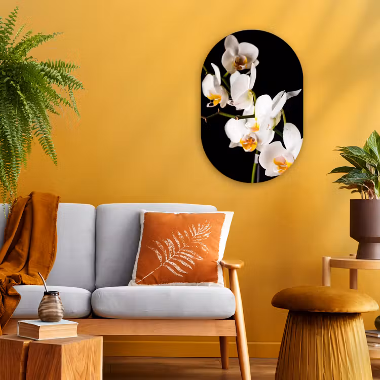 Orchidee - Bloemen - Planten - Botanisch Wandcirkel Ovaal Forex klein -sfeer4