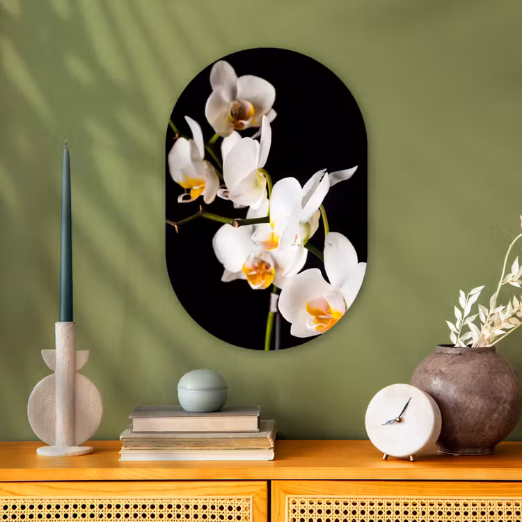Orchidee - Bloemen - Planten - Botanisch Wandcirkel Ovaal Forex klein -sfeer2