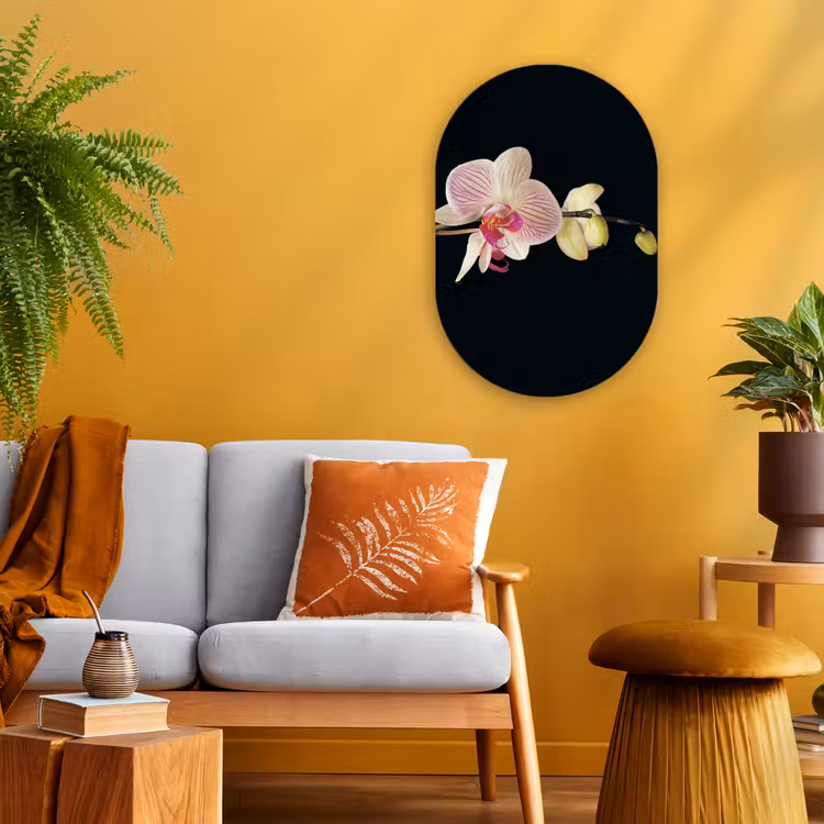 Orchidee - Bloemen - Zwart - Roze - Knoppen Wandcirkel Ovaal Forex klein -sfeer4