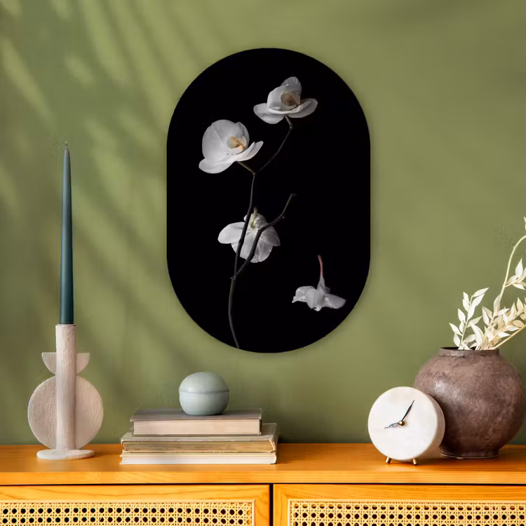 Orchidee - Bloemen - Zwart - Wit - Stilleven Wandcirkel Ovaal Forex klein -sfeer2