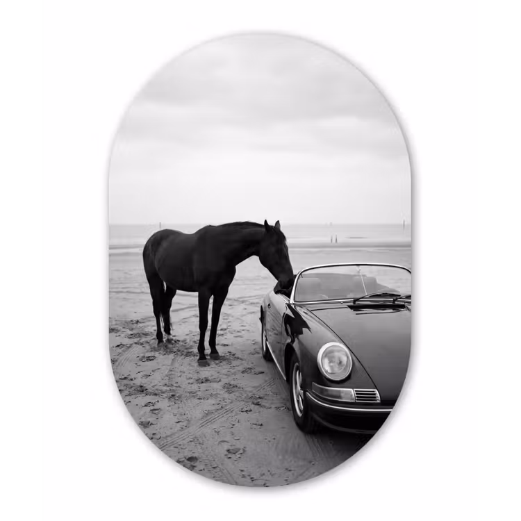 Paard - Auto - Zwart - Wit Wandcirkel Ovaal Forex klein -3d