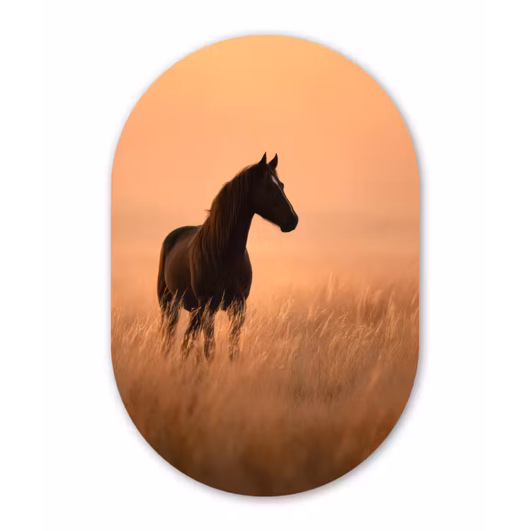 Paard - Grasveld - Zonsondergang Wandcirkel Ovaal Forex klein -3d