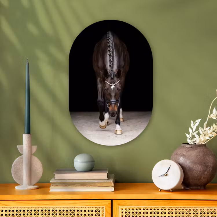 Paard - Modern - Portret Wandcirkel Ovaal Forex klein -sfeer2
