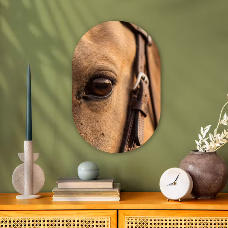 Paard - Oog - Bruin Wandcirkel Ovaal Forex klein -sfeer2