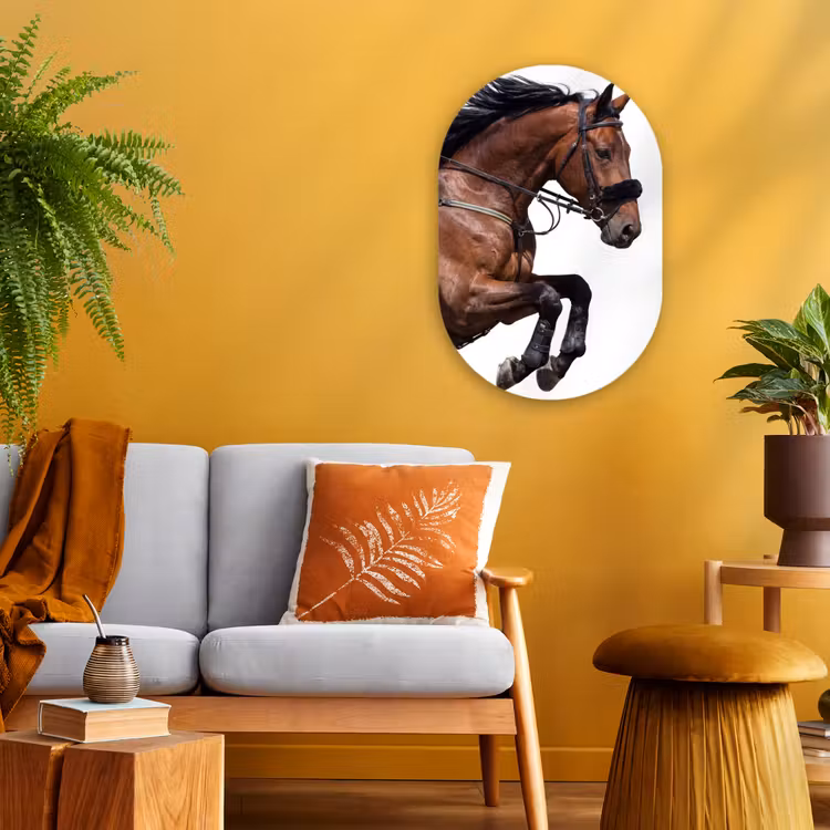 Paard - Springen - Modern Wandcirkel Ovaal Forex klein -sfeer4