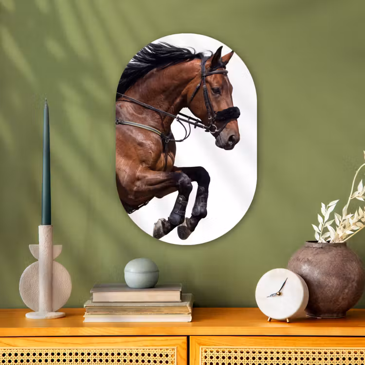 Paard - Springen - Modern Wandcirkel Ovaal Forex klein -sfeer2