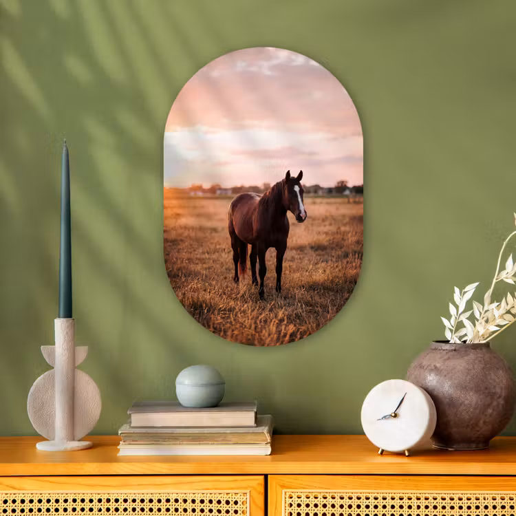Paard - Zonsondergang - Bruin Wandcirkel Ovaal Forex klein -sfeer2