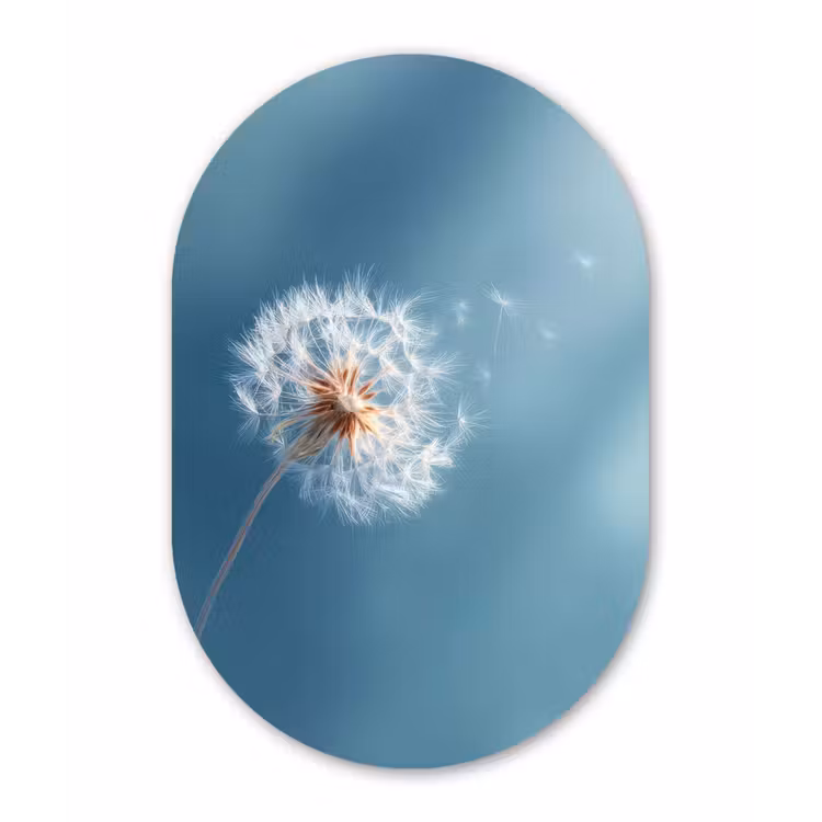 Paardenbloem - Wind - Blauw Wandcirkel Ovaal Forex klein -3d